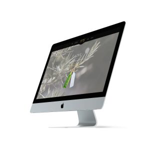diseño web montilla
