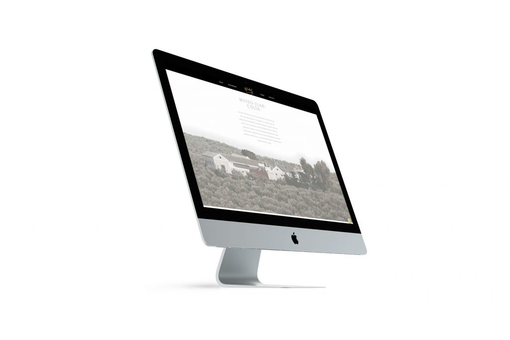 DISEÑO WEB