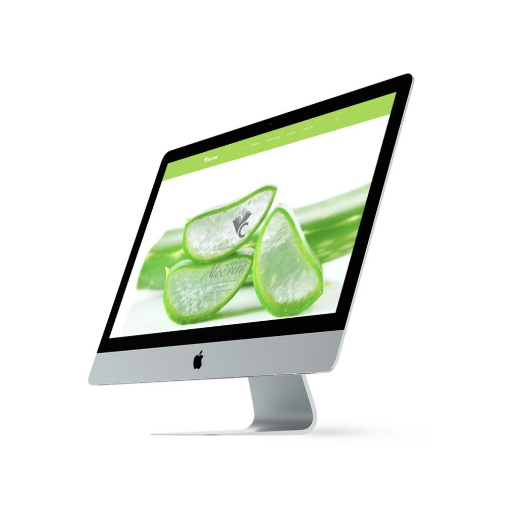 DISEÑO WEB
