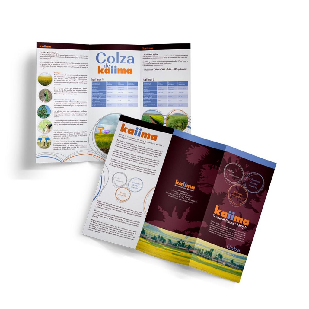CATALOGO-KAIIMA-DOGMA-DISEÑO